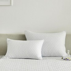 모던하우스익스트림쿨