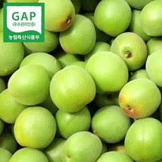 매실5kg-추천-상품