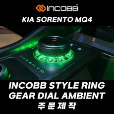 쏘렌토엠비언트