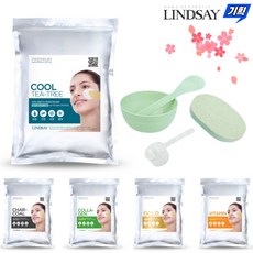 린제이 티트리 비타민 콜라겐 모델링팩 1kg 고급 팩도구 4종 (택1), 1세트, 1개입, 콜라겐+팩도구4종세트