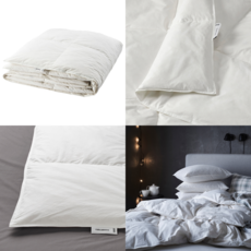 알레르망카르니