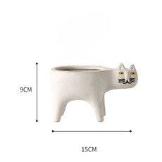 원숭이꼬리선인장
