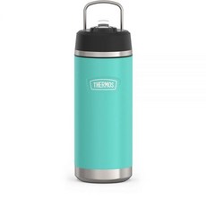 ICON SERIES BY THERMOS 스테인리스 스틸 아동용 물병 피벗 빨대 포함 532.3ml(18온스) 씨폼, Seafoam