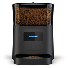 디클펫트리와이파이