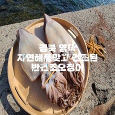 김수미반건조오징어