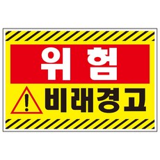 비래
