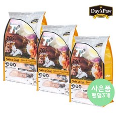 연어와술