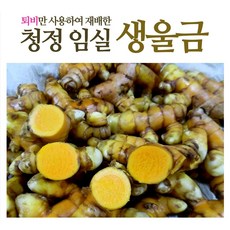 임실참울금 울금종자5kg 맑은공기 깨끗한물 비옥한토지 청정임실의 특산품 임실참울금