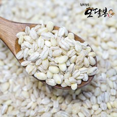 힘찬농부오달봉 국산 늘보리 늘보리쌀, 1개, 5kg