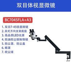 주사전자현미경