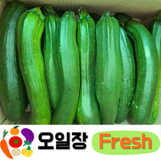 ( 오일장 Fresh ) 국내산 쥬키니호박 주키니호박 못난이호박 3KG 5KG 10KG내외, 1박스