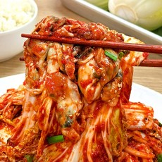 농가살리기 전라도 여린 알배기 생굴겉절이, 1박스, 1kg