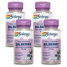 솔라레이 빌베리 추출물 60mg, 4개, 60정