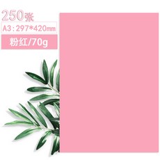 용지호수피크닉