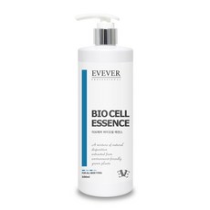 이브에버모델링