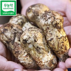 무농약 참송이버섯 송화버섯 추석선물 세트 가정용, 1개, 참송이버섯 선물세트1kg