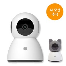 고양이추적카메라