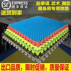 노멜스토어 태권도 전업 3040 폼매트 자 두꺼운 헬스장 1X 1메터 무술 킥복싱 트레이닝 바닥매트, 30 고밀 에코 급 레드 블루 스여성