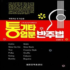 통기타입문반주법