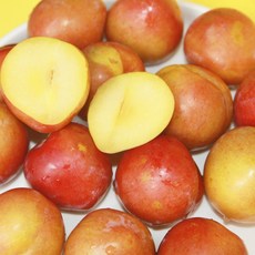 산지직송 새콤 달콤한 경북 후무사 자두, 1개, 자두 대 1kg(10과내외)