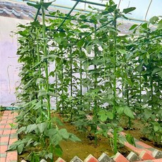 식물지지대 포도 오이 넝쿨 터널형 온실 야외 텃밭, 두께11mm 60폭x120길이x120높이