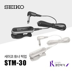 와디아21픽업