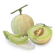 하니원메론-추천-상품