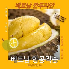 말레이시아두리안