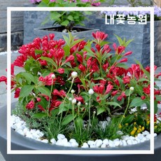 a38d635f5cedd5c9419d20182d3daf414d9b981f8f86f64af9e5e47d6770.jpg