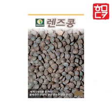 호미닷컴 잡곡류씨앗 모음 채소씨앗 종자 완두콩씨앗 채소씨 채소재배, 렌즈콩 10g, 1개