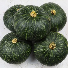 괴산 청년농부의 미니 단호박 2kg, 1개