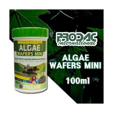 버거킹와퍼주니어