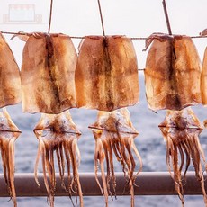 원양산 반건조 오징어 5250G 내외 동해오징어, 1개