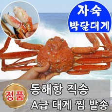 레드킹크랩1kg
