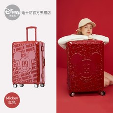 타는캐리어키티