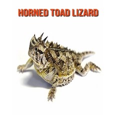 Horned Toad Lizard: Fun Facts & Cool Pictures Paperback, Independently Published, English, 9798564068628