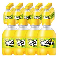 뿌요소다