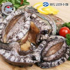[완도금일수협] 활 참전복 (대)2kg(20-22미), 1개