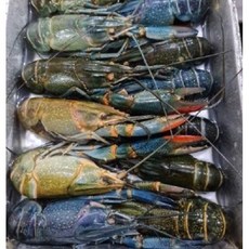동아씨푸드 크레이피쉬 민물가재 마라롱샤 800g, 1개, 16-20미