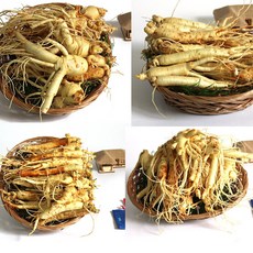 금산인삼주수삼단본720ml43도