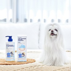 페스룸샴푸