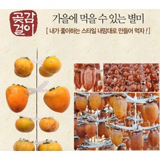 꽂감메이커 곶감 프리미엄곶감걸이100개용 국내산, 100개