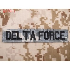 육군특급전사패치