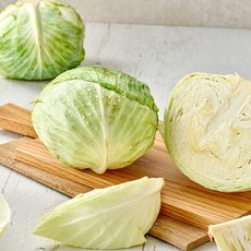 싱싱한 제주 양배추 5kg, 5kg내외