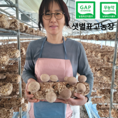 [농부직송] 25년장인 무농약 국내산 표고버섯, 1박스, 1kg (실속형)