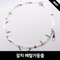 아미고기둥줄