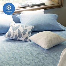 [KT알파쇼핑]더플레오 쿨텍스 냉감패드 1+1 Q