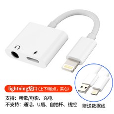 아이패드에어4이어폰젠더