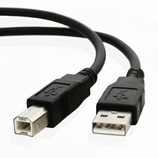Epson 완벽 V600 색깔 사진 스캐너를위한 NiceTQ 10FT USB PC 케이블 코드, 단일상품