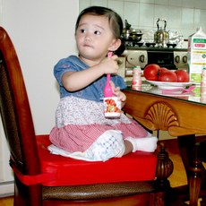 운전자키높이방석